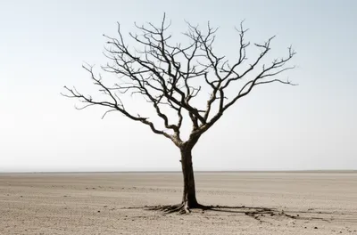 Illustration naked - Image 1