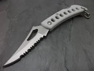 Illustration serrated - Image 2