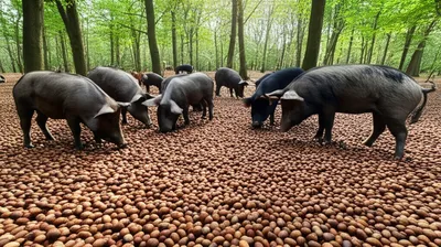 Illustration masts - Image 1