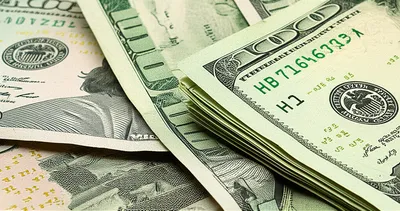 Illustration lettuce - Image 1