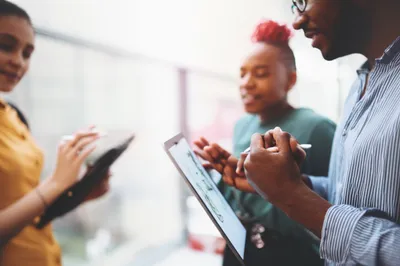 Illustration mesh - Image 1