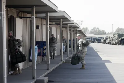 Illustration quartered - Image 1