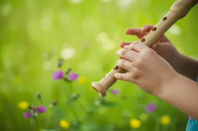 Illustration flutes - Image 1