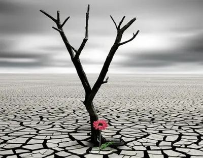 Illustration lacks - Image 1