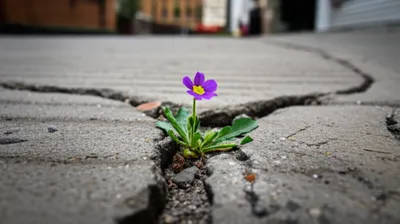 Illustration waif - Image 1