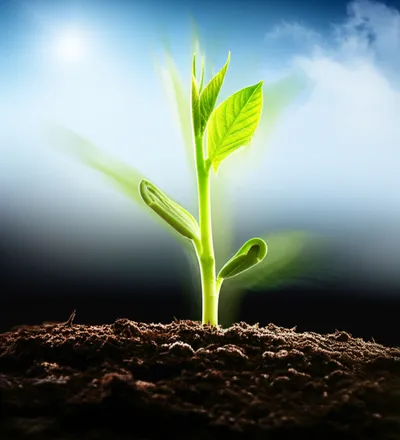 Illustration accelerated - Image 1