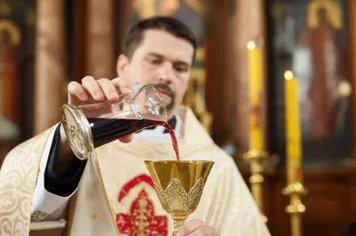 Illustration purification - Image 1