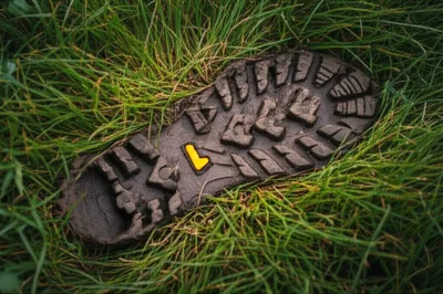 Illustration treaded - Image 1