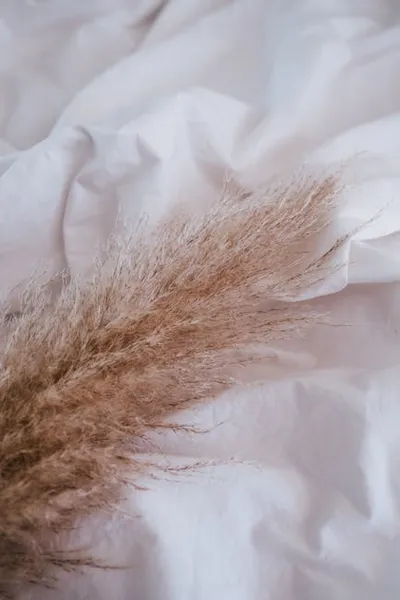 Illustration fibres - Image 2