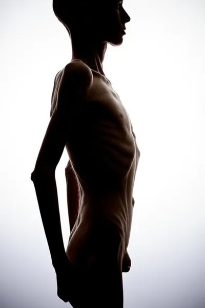 Illustration skeletons - Image 1