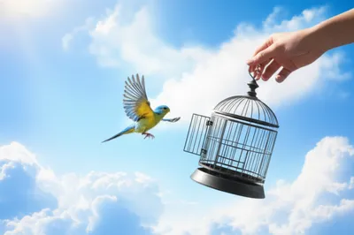 Illustration disengaging