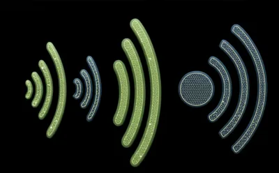 Illustration hearing - Image 1