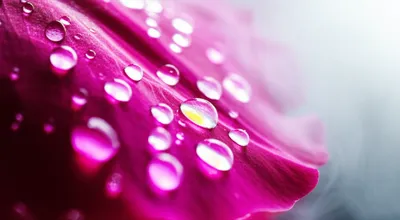 Illustration prove - Image 1