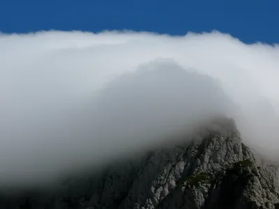 Illustration mantled - Image 1