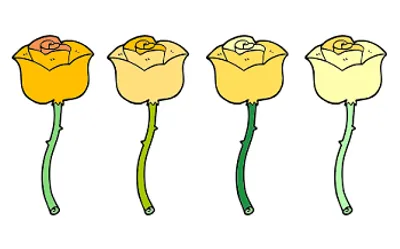 Illustration nuance - Image 2