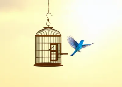 Illustration acquit - Image 1