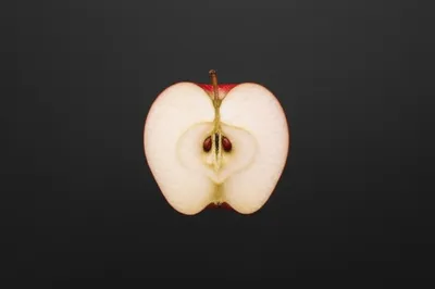 Illustration rit - Image 1