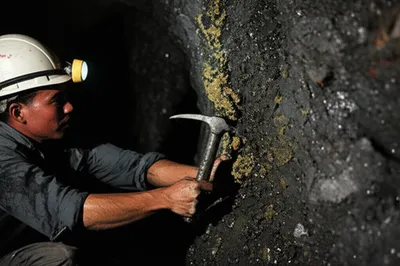 Illustration gumming - Image 1