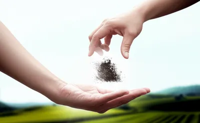 Illustration forgivable - Image 1