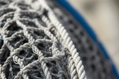 Illustration seaming - Image 1