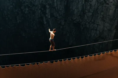 Illustration hedges - Image 1