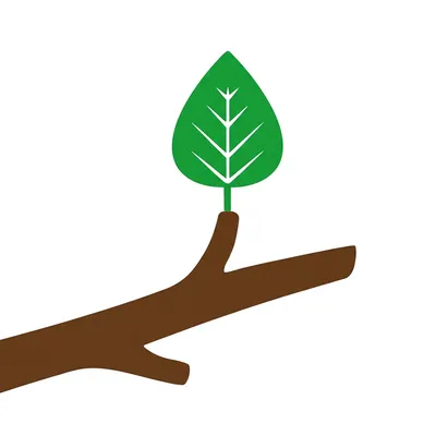 Illustration appendix - Image 1