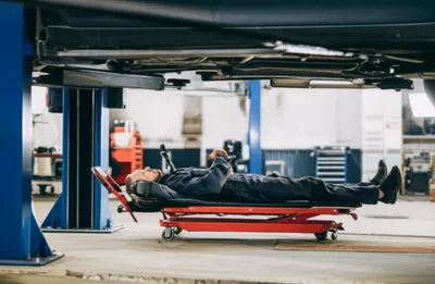 Illustration creepers - Image 1