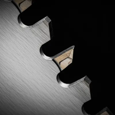 Illustration tooth - Image 1