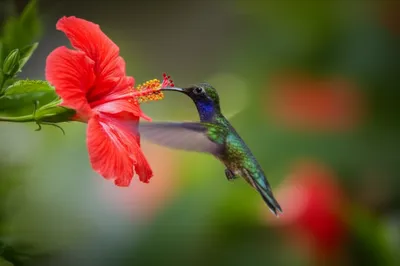 Illustration picks - Image 1