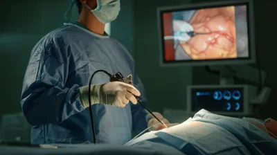 Illustration laps - Image 1