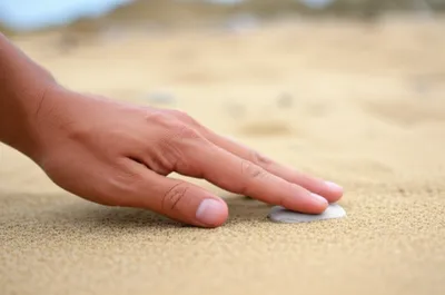 Illustration palm - Image 1