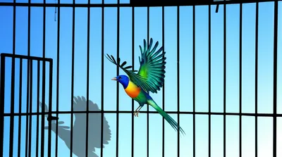 Illustration bail - Image 1