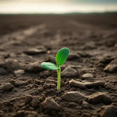 Illustration stub - Image 1