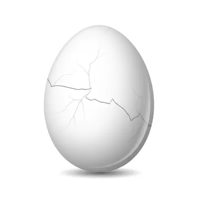Illustration eggshell - Image 1