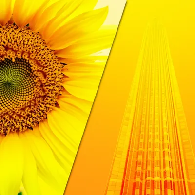 Illustration rhyme - Image 1