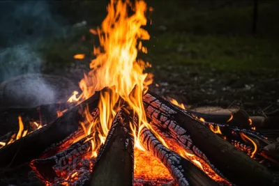 Illustration slakes - Image 1