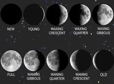 Illustration wane - Image 2