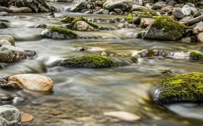 Illustration rippling - Image 1