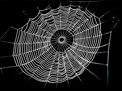 Illustration breakaway - Image 1