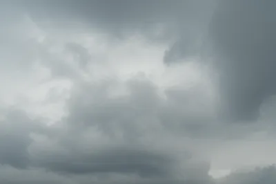 Illustration duller - Image 1