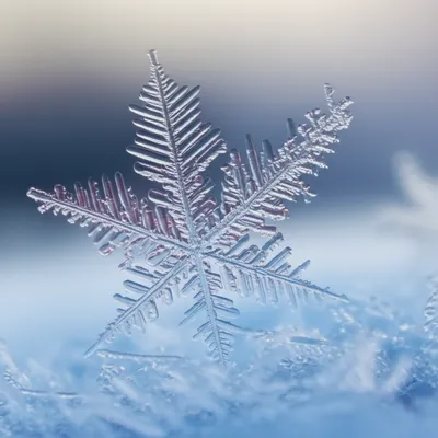Illustration snowflake - Image 1