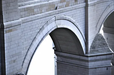 Illustration cleft - Image 1