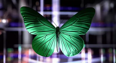 Illustration hologram