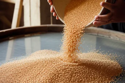 Illustration tries - Image 1