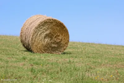 Illustration rolling - Image 1