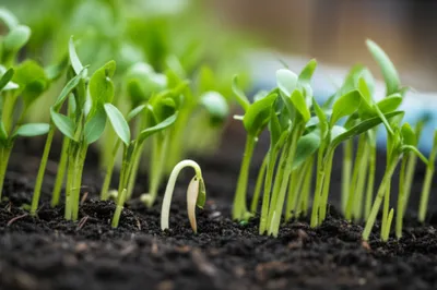 Illustration runt - Image 1