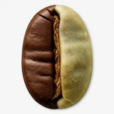 Illustration greenest - Image 1