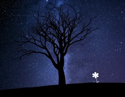 Illustration dying - Image 1