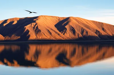 Illustration reflecting - Image 1