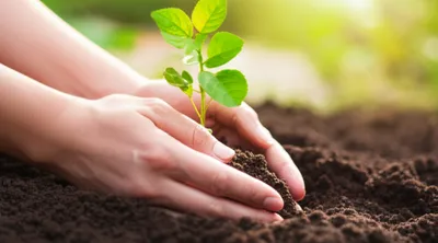 Illustration saving - Image 1